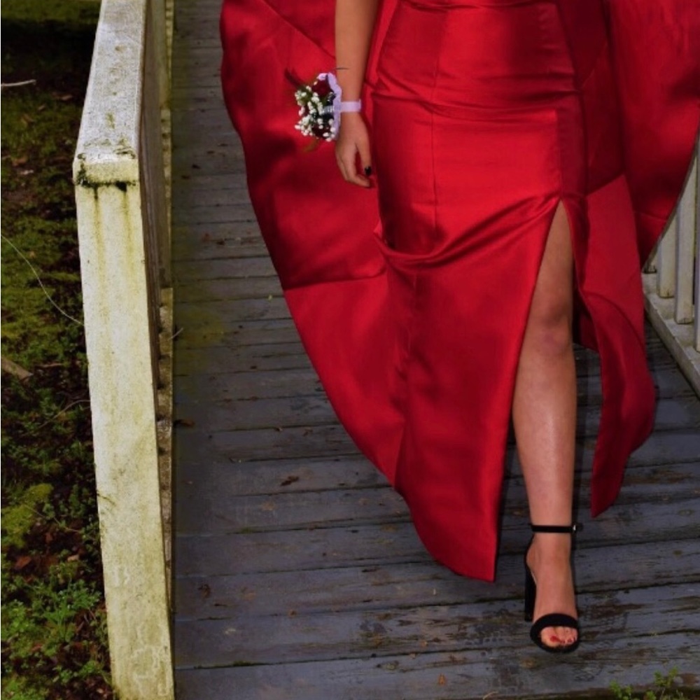 Prom Dress - Picture 4 of 4